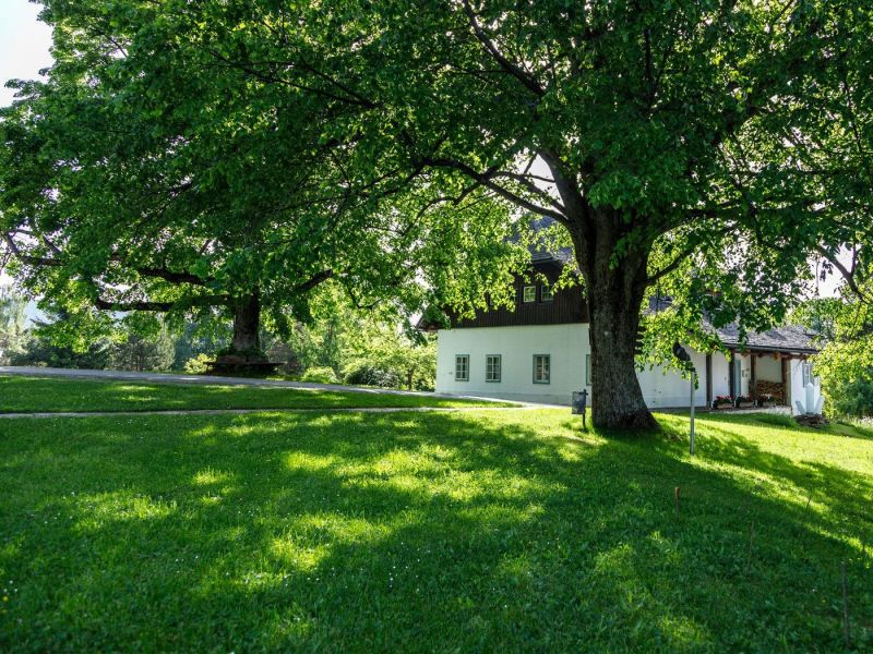 20190610 0576 ergebnis verkleinert 20190610 0576 ergebnis verkleinert