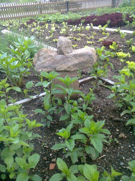 Foto0530 verkleinert