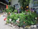 IMG 0482
