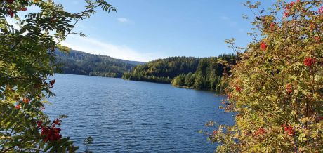 IMG 20210428 WA0018