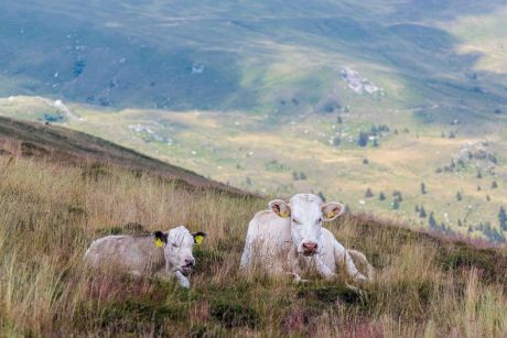 20150804 7585 verkleinert