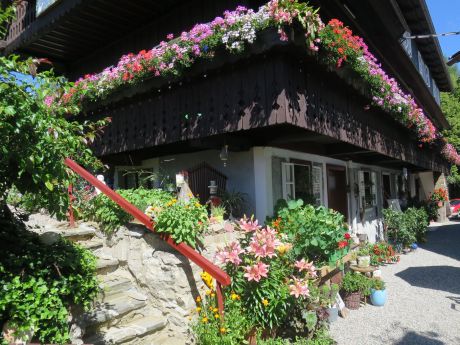 IMG 1942 verkleinert