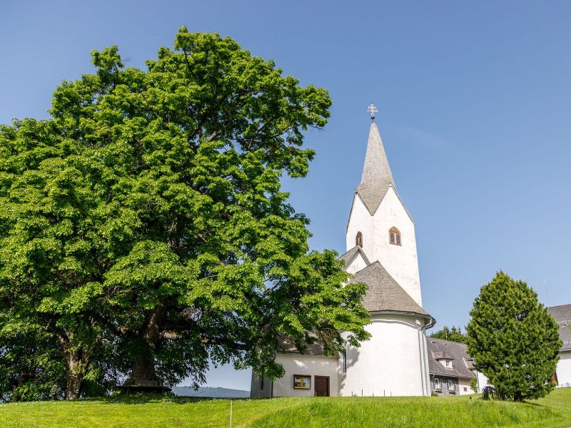 20190610 0585 verkleinert 20190610 0585 verkleinert